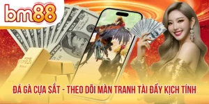 Đá Gà Cựa Sắt - Theo Dõi Màn Tranh Tài Đầy Kịch Tính